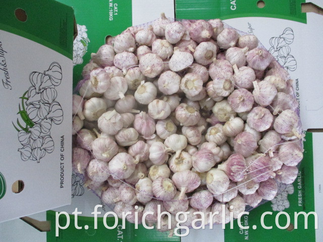 Normal Garlic Of Jinxiang